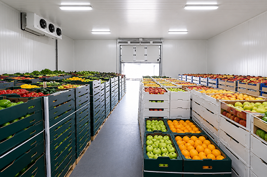 nandikoti_Cold Storage & Cold Room